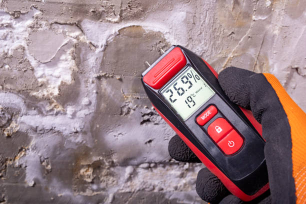 Professional Mold Removal in Pleasant Hills, PA