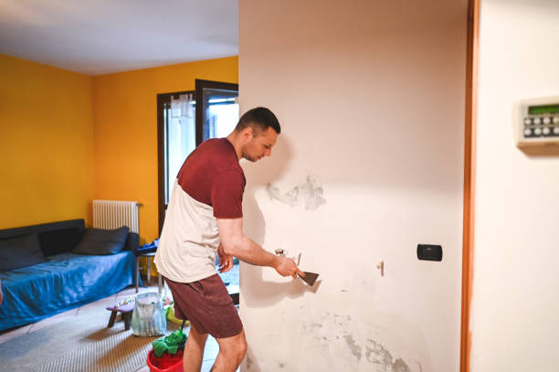 Trusted Pleasant Hills, PA Mold Removal Experts